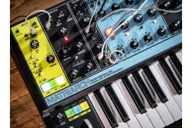 Matriarch - analogowy syntezator półmodularny