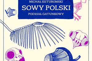 Michał Szturomski