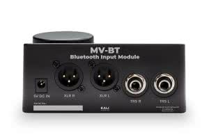 Kali Audio Mountain View