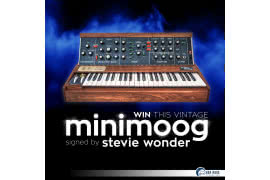 Wygraj Minimooga Stevie Wondera!