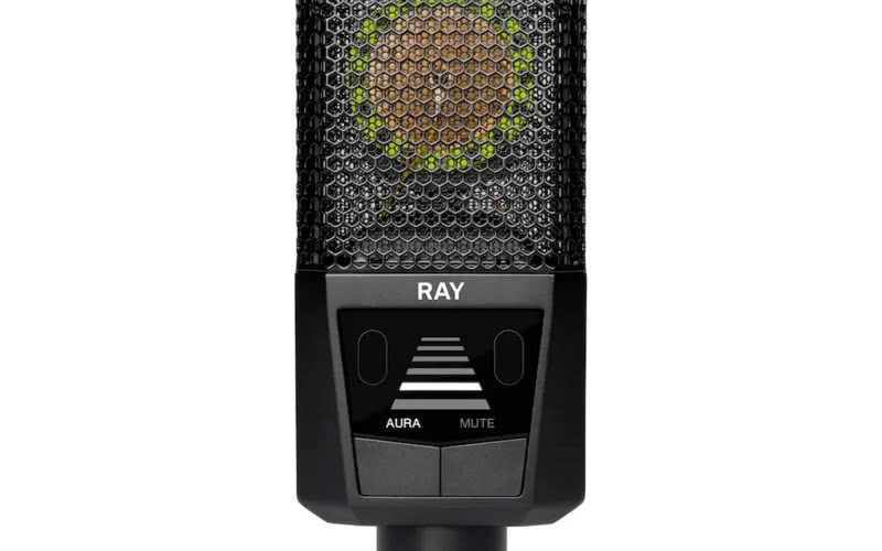 LEWITT RAY