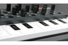 SKULPTsynth SE - 4-głosowy syntezator cyfrowy
