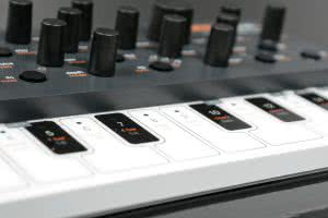 SKULPTsynth SE - 4-głosowy syntezator cyfrowy 