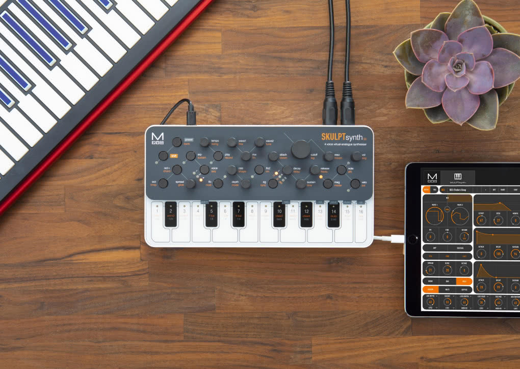 Modal SKULPTsynth SE