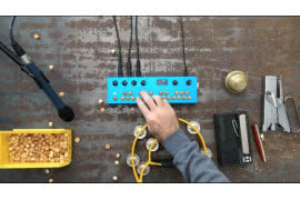 Organelle Critter & Guitari