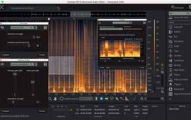 iZotope RX 6 