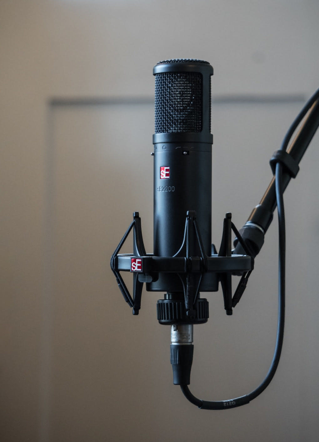 sE Electronics sE2200