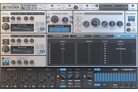Pakiet EiS - DS Audio Software Thorn EiS