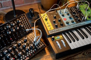 Grandmother - syntezator analogowy